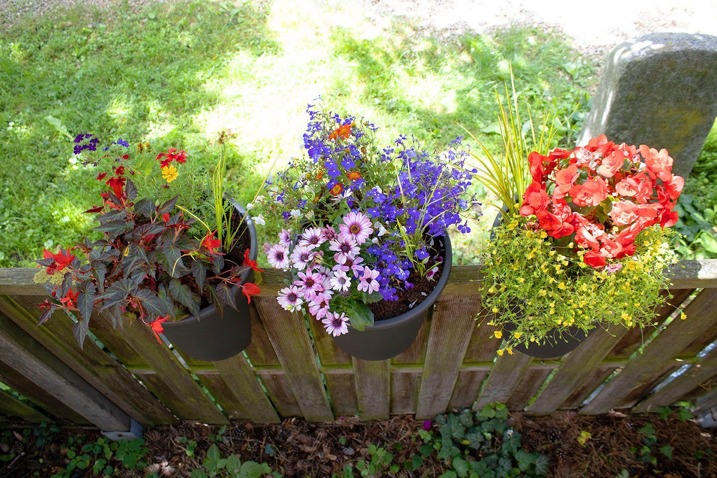 27x27,5 Flowerclip Balkonkasten (Set, cm KHW St), 3 ØxH: