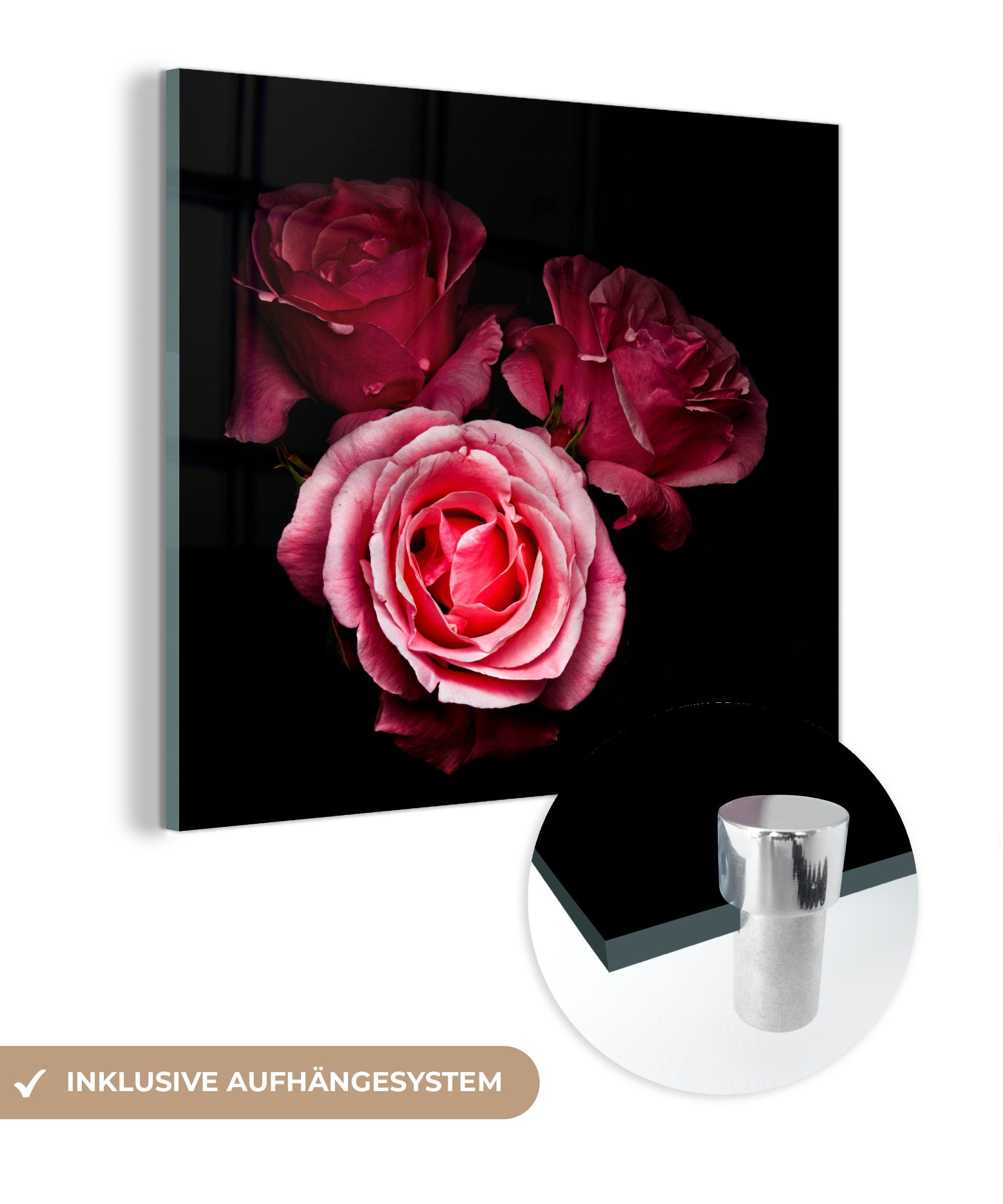 MuchoWow Acrylglasbild Ein Foto von rosa Rosen mit schwarzem Hintergrund, (1 St), Glasbilder - Bilder auf Glas Wandbild - Foto auf Glas - Wanddekoration
