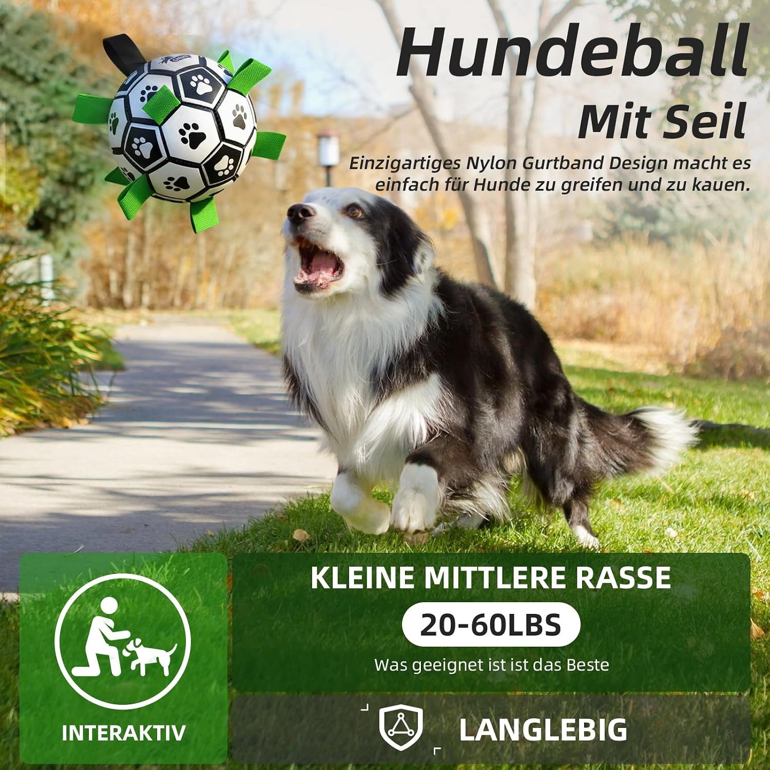 FELIXLEO Tier-Intelligenzspielzeug Hundeball mit Seil Interaktiv Springend Schwimmend 6 Zoll