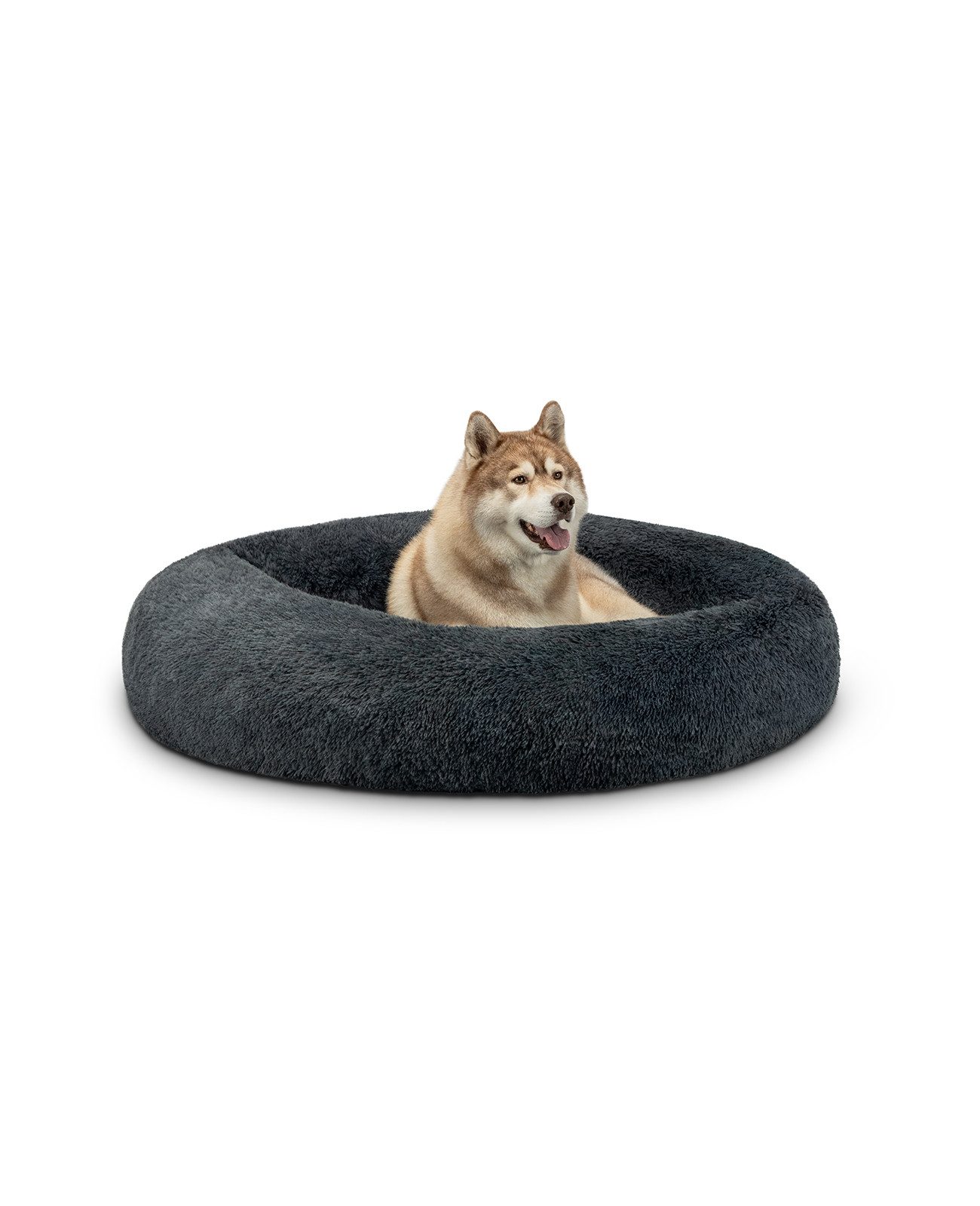 Gnstige Hundekissen online kaufen  Hundekissen SALE | OTTO