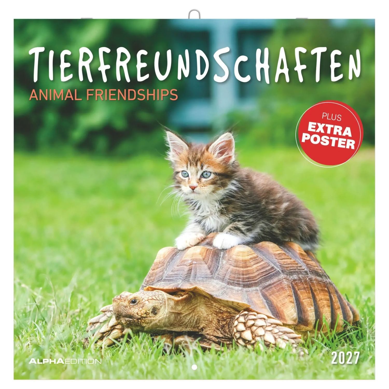 NEUMANN Wandkalender Tierfreundschaften 2027
