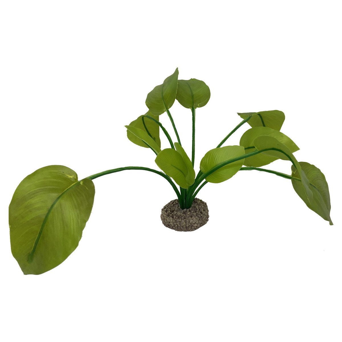 Aquariendeko Aquarium Dekoration Anubias 2 grün