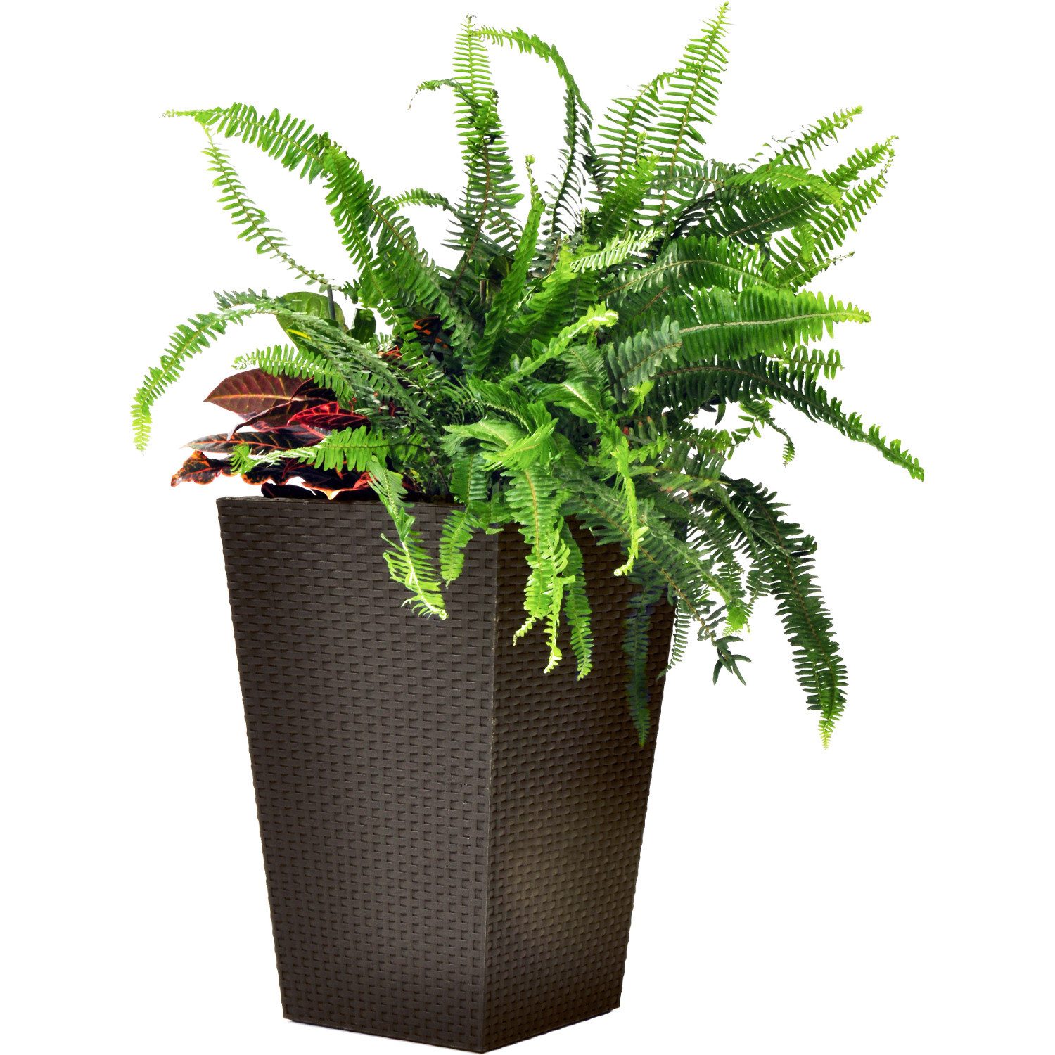 Keter Blumentopf, Rattan Pflanzgefäß M Blumentopf günstig online kaufen