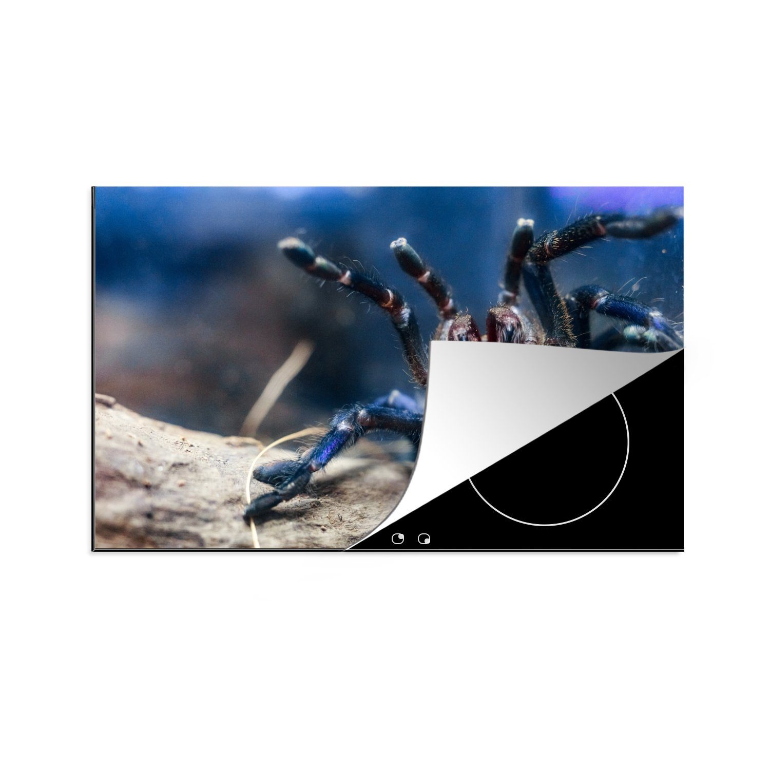 MuchoWow Herdblende-/Abdeckplatte Vogelspinne Schutz im Ceranfeldabdeckung küche, 81x52 tlg), Vinyl, Kampfmodus, die für (1 cm, Induktionskochfeld