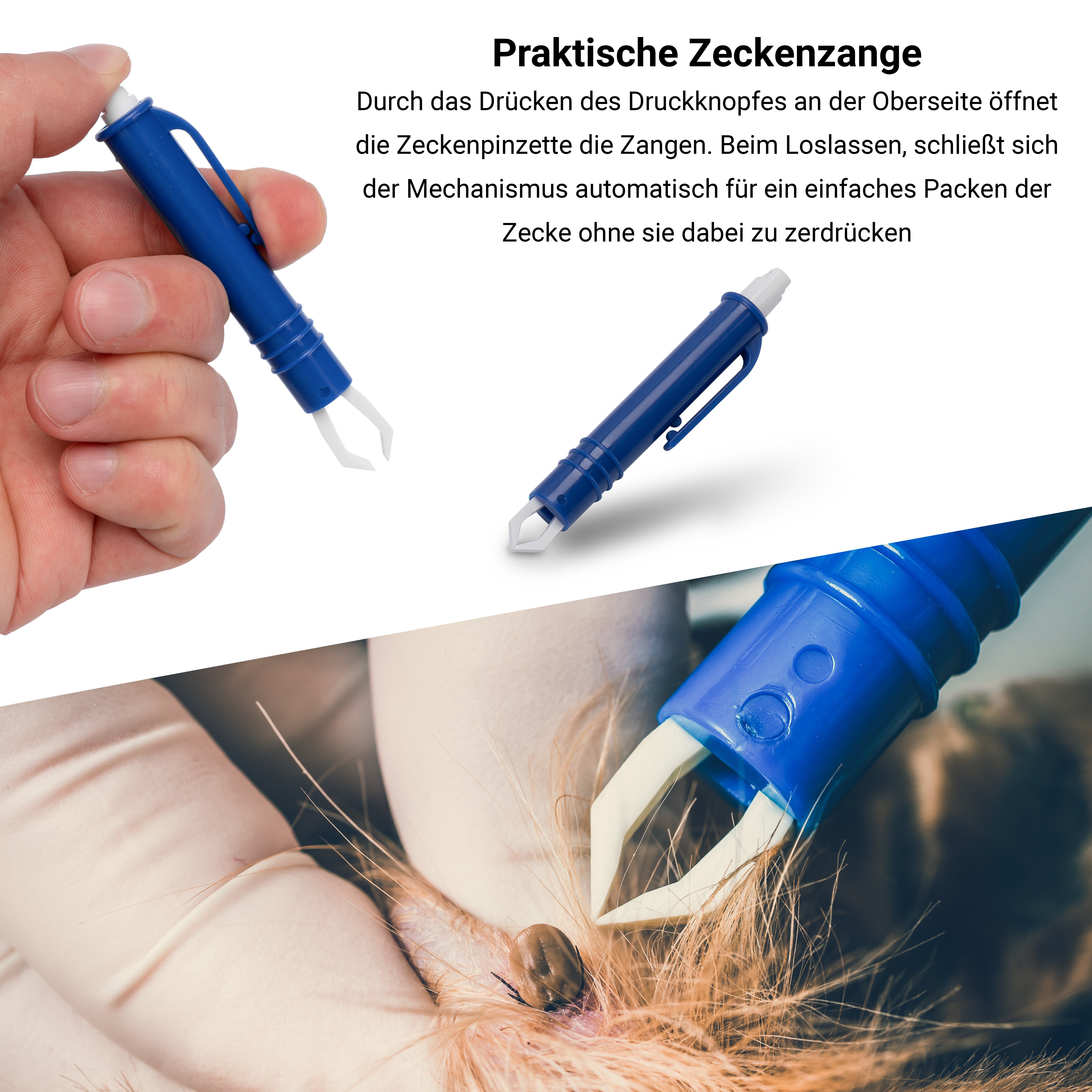 Detailansicht des Produkts 8