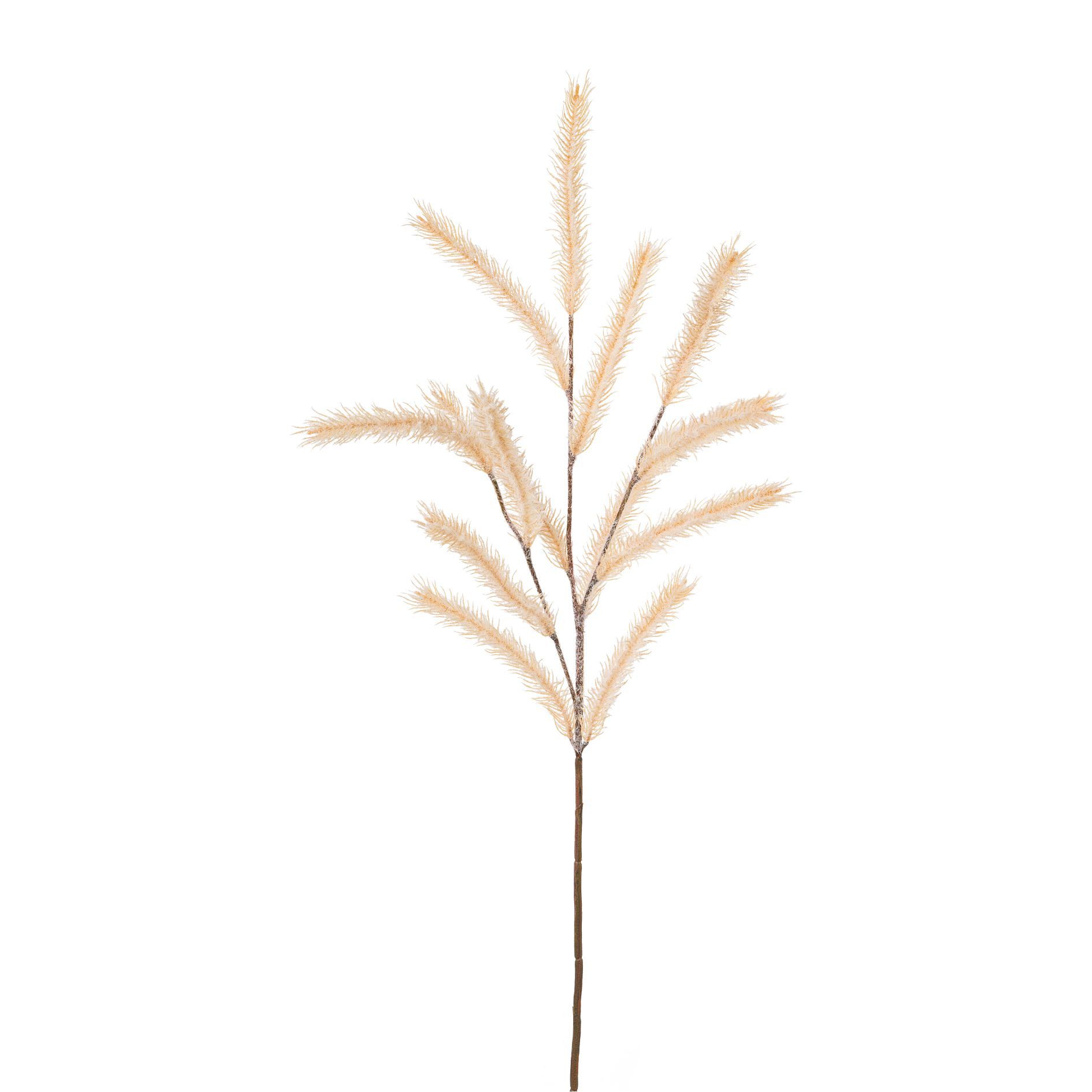 Kunstzweig Kunstpflanze MELICA-GRASZWEIG 74 cm. Dekogras in CREME, Gasper, Höhe 74.00 cm