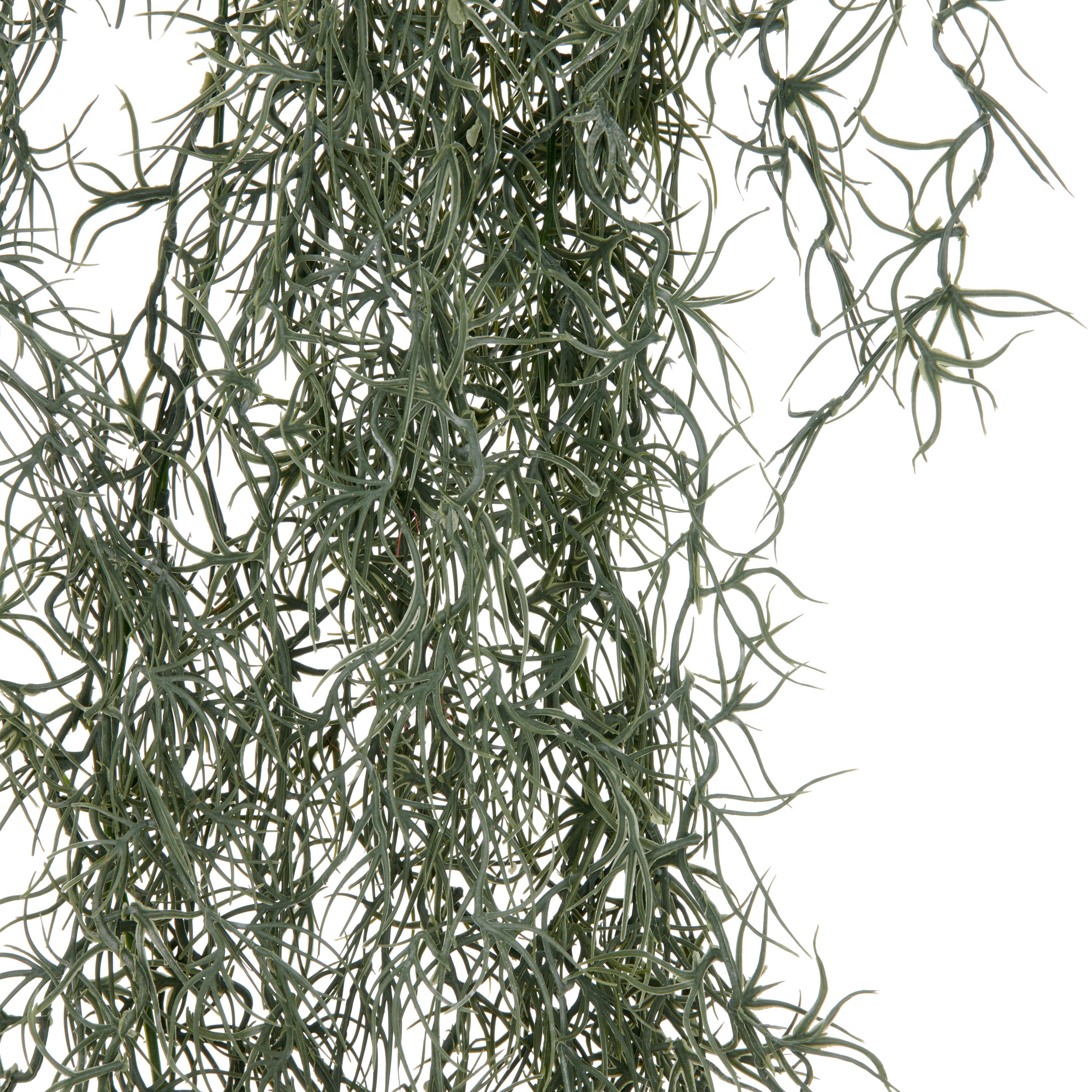 Kunstranke Tillandsia, Creativ green, Höhe 120 günstig online kaufen