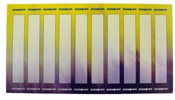 EXXO by HFP Ringbuchmappe Ringbuch Ringordner A4, aus PP-Folie, Perlfarben, mit 2er Rundringmechanik und selbstklebendem Rückenschild