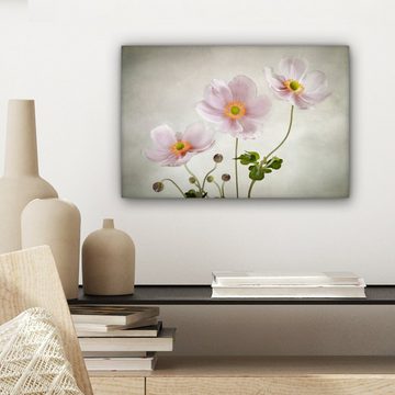 OneMillionCanvasses® Leinwandbild Blumen - Stillleben - Ölfarbe - Mohn - Rosa, (1 St), Wandbild Leinwandbilder, Aufhängefertig, Wanddeko, 30x20 cm