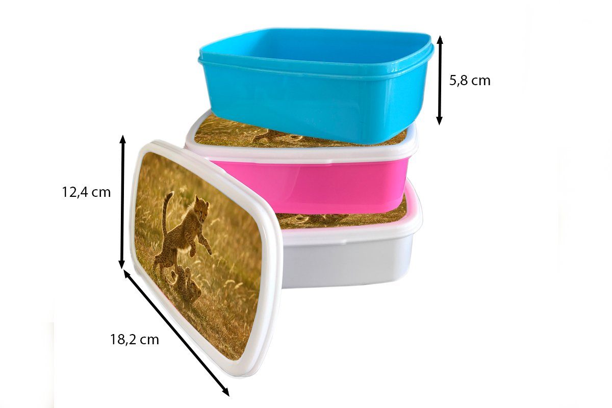 Brotdose Safari, Kunststoff, Mädchen, Erwachsene, Snackbox, Gepard Kinder, für rosa Jungtiere - Brotbox (2-tlg), Lunchbox Kunststoff MuchoWow -