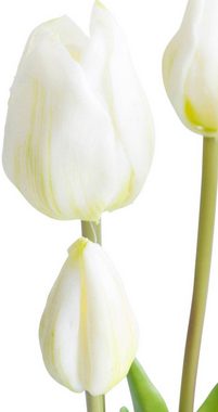 Kunstpflanze Maiva Tulpe, my home, Höhe 47 cm, Tulpenbündel im 7er-Set