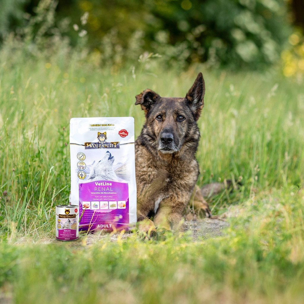 Wolfsblut Vetline Renal - Trockenfutter zur Unterstützung der Nierenfunktion, Trockenfutter für: Hunde