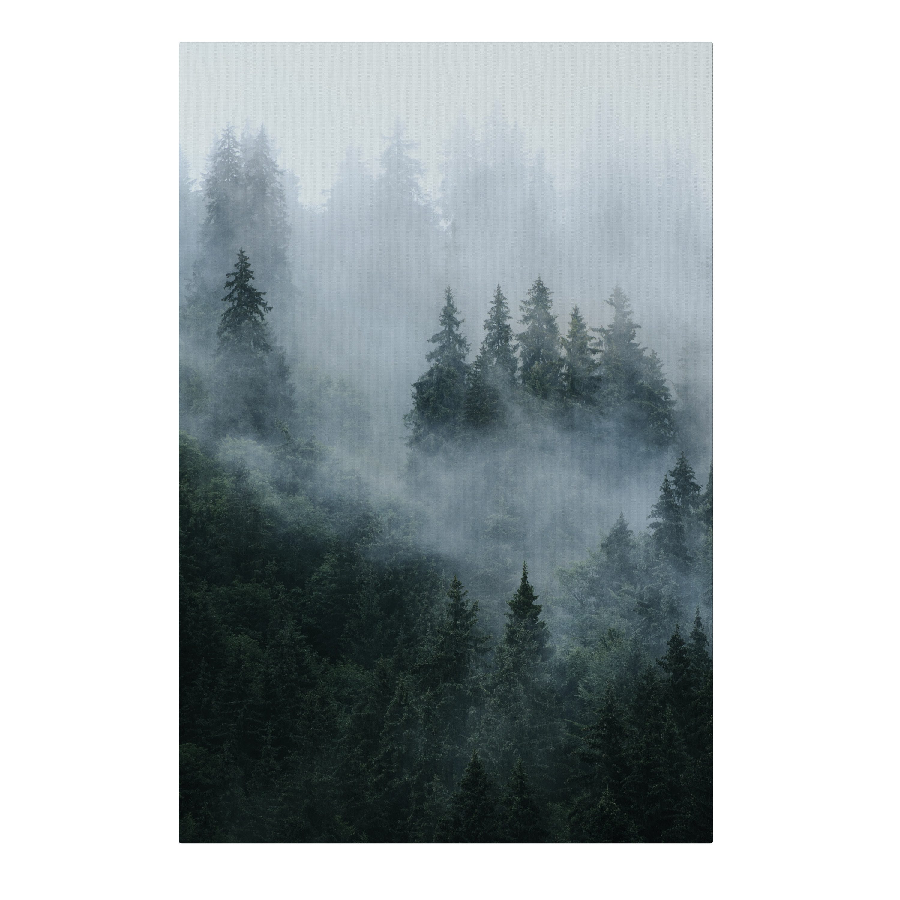 SPACEREBELS Leinwandbild VEIL OF MIST, Landschaft (1 St), 3 cm Keilrahmen, Baumwollleinwand