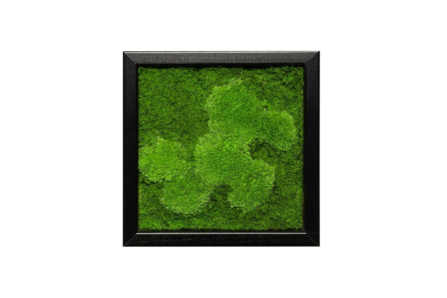 Moos-Design Bild Moosbild Fifty Fifty Design günstig online kaufen