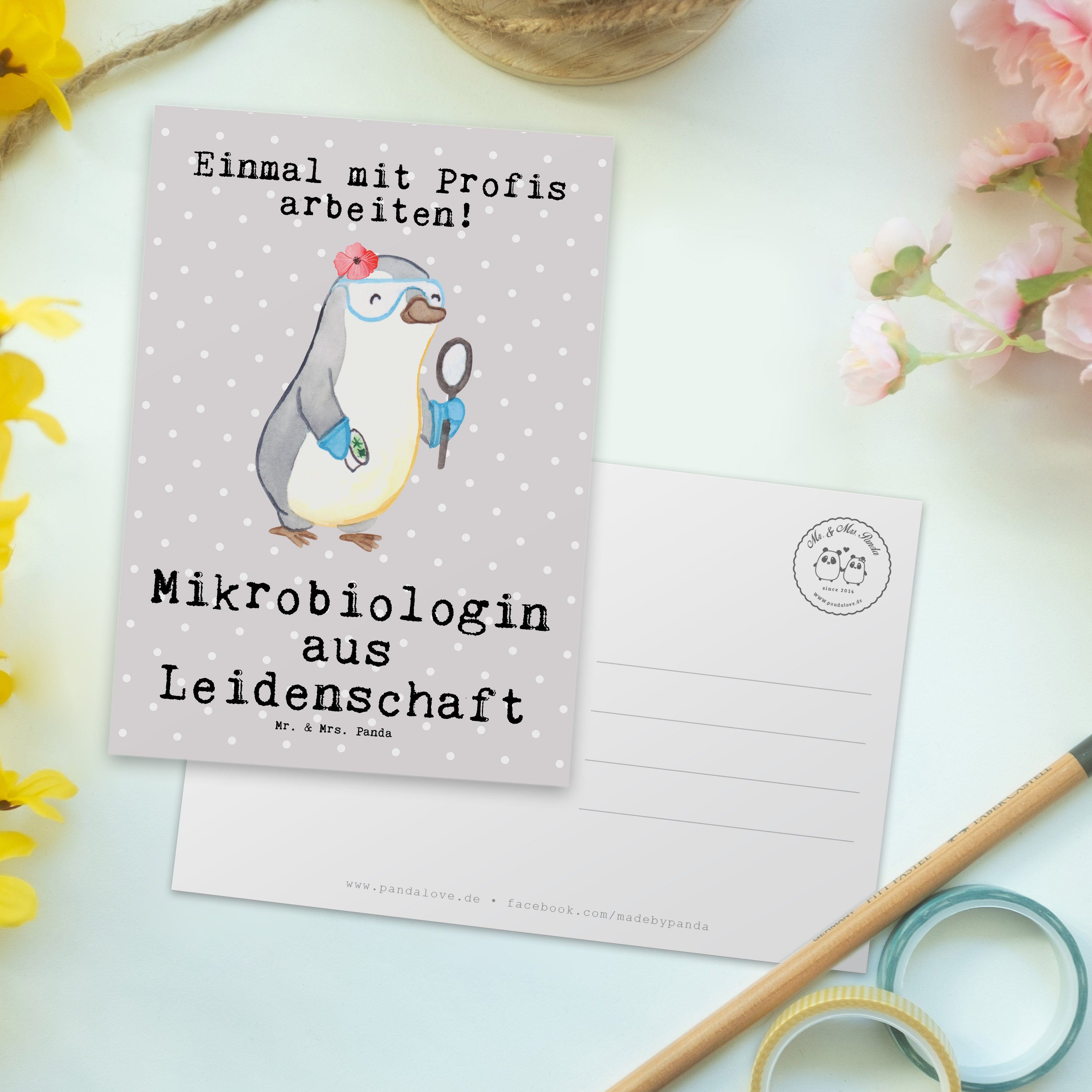 Pastell - Grau Mrs. aus Naturwissen Geschenk, Leidenschaft Postkarte Mr. - Mikrobiologin Panda &