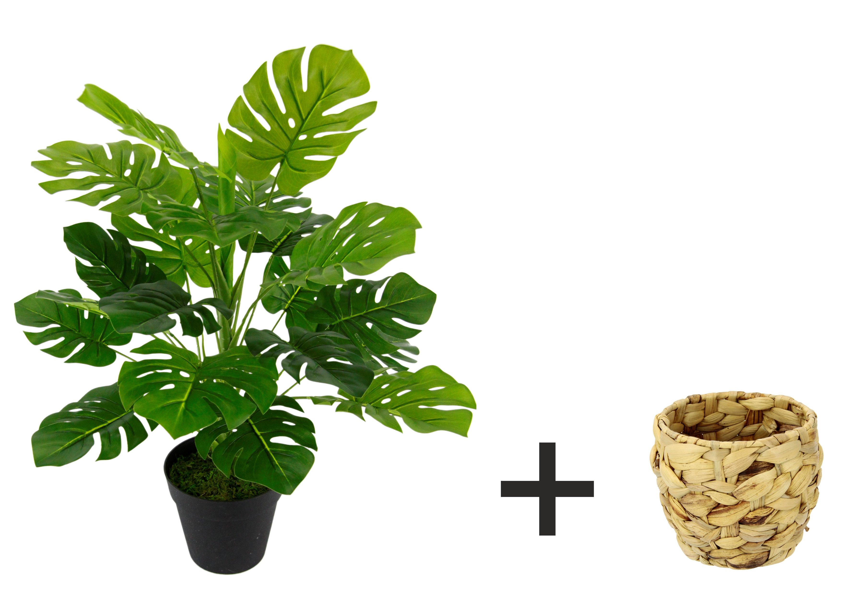 Kunstpflanze Monstera, I.GE.A., Höhe 46 cm, Mit Übertopf künstlicheSplitphi günstig online kaufen