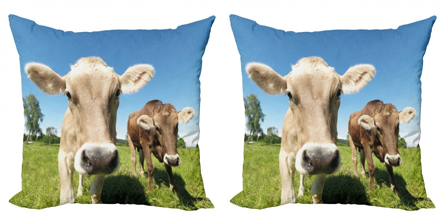 Abakuhaus Bauernhoftier up Close Kühe Doppelseitiger Kissenbezüge Modern Digitaldruck, Accent (2 Stück),