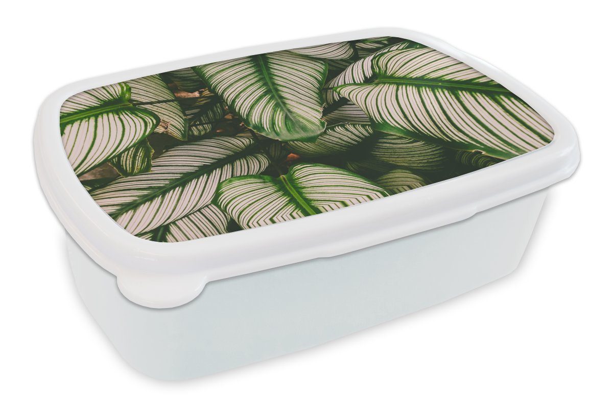 Brotdose, Lunchbox Blätter (2-tlg), Kinder und Erwachsene, Kunststoff, für und Jungs - MuchoWow Grün, weiß - Natur Brotbox Mädchen für