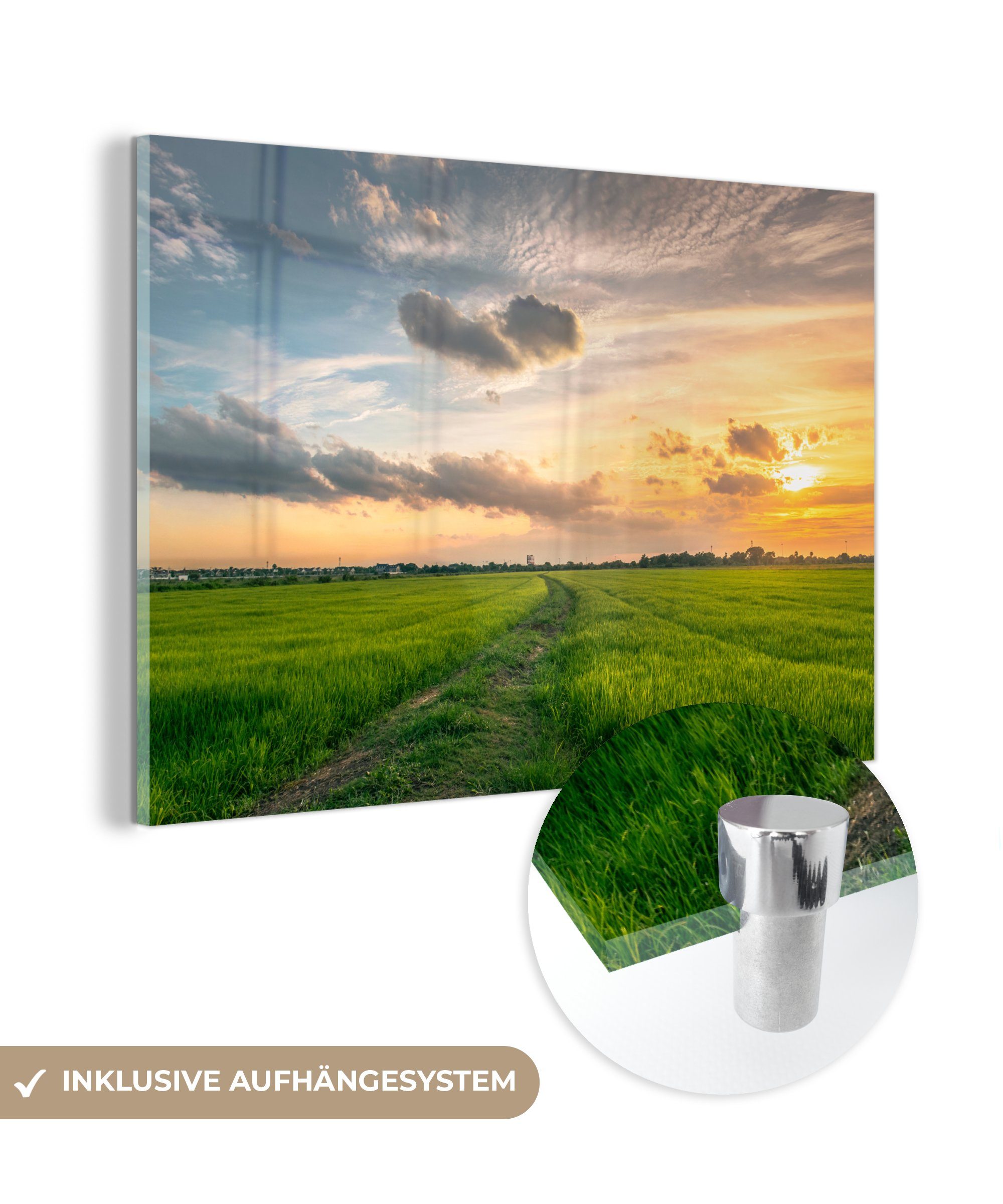 MuchoWow Acrylglasbild Himmel - Gras - Sonne, (1 St), Acrylglasbilder Wohnzimmer & Schlafzimmer