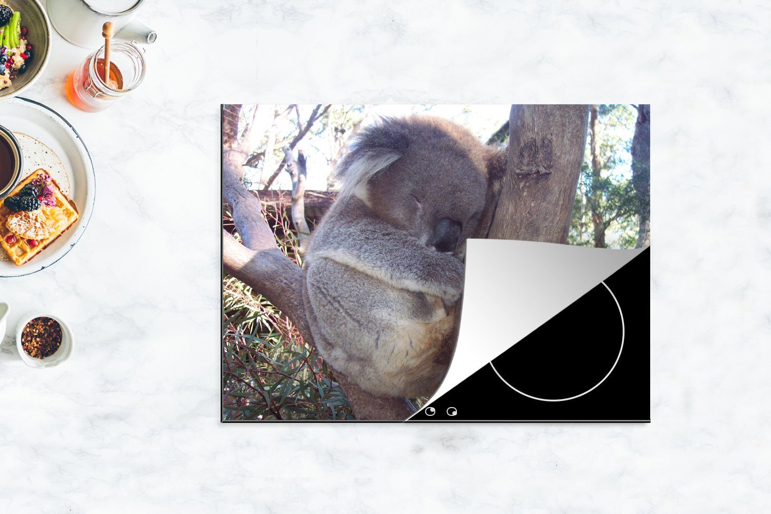 MuchoWow Herdblende-/Abdeckplatte Koala - Vinyl, (1 Grau, Baum Arbeitsfläche - nutzbar, cm, tlg), Ceranfeldabdeckung 70x52 Mobile