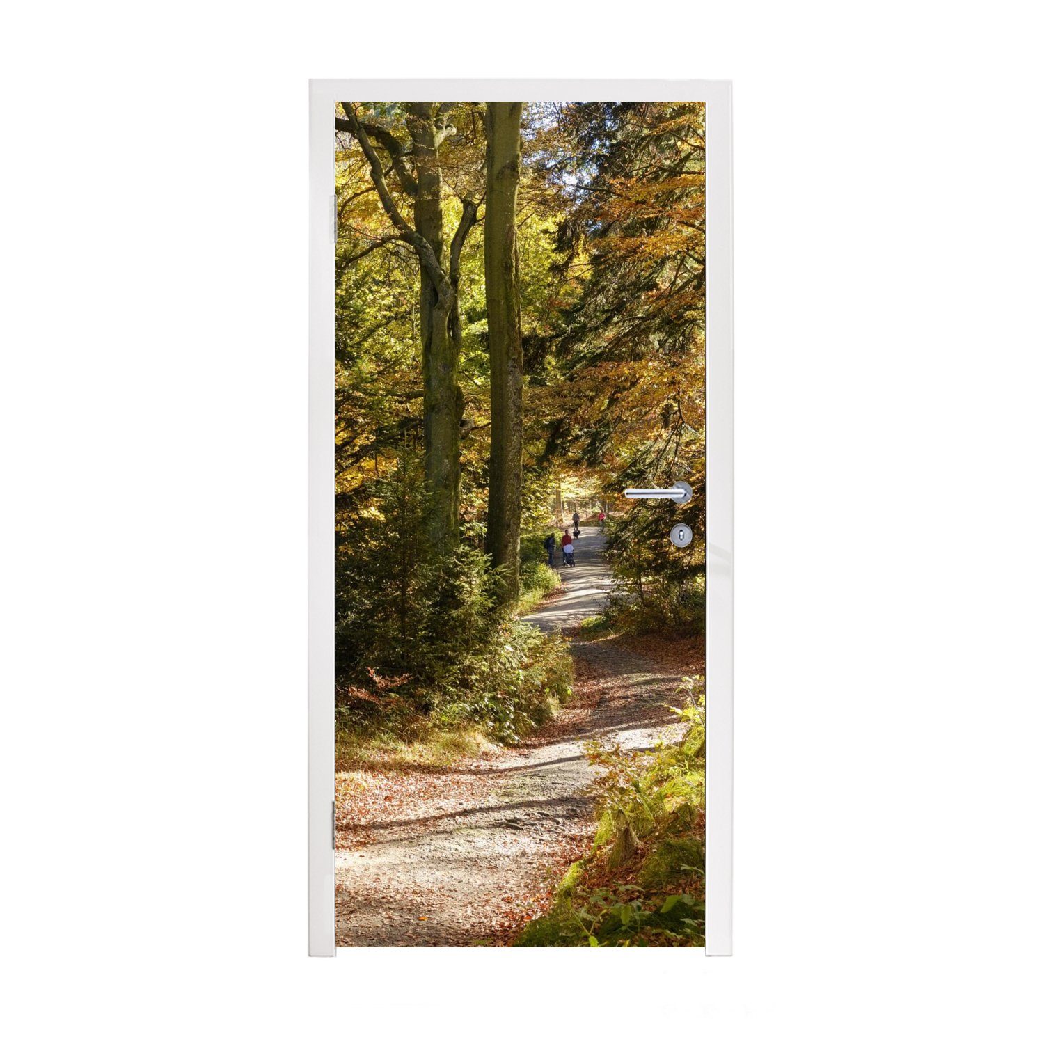 MuchoWow Türtapete Waldlehrpfad im Nationalpark Bayerischer Wald, Matt, bedruckt, (1 St), Fototapete für Tür, Türaufkleber, 75x205 cm