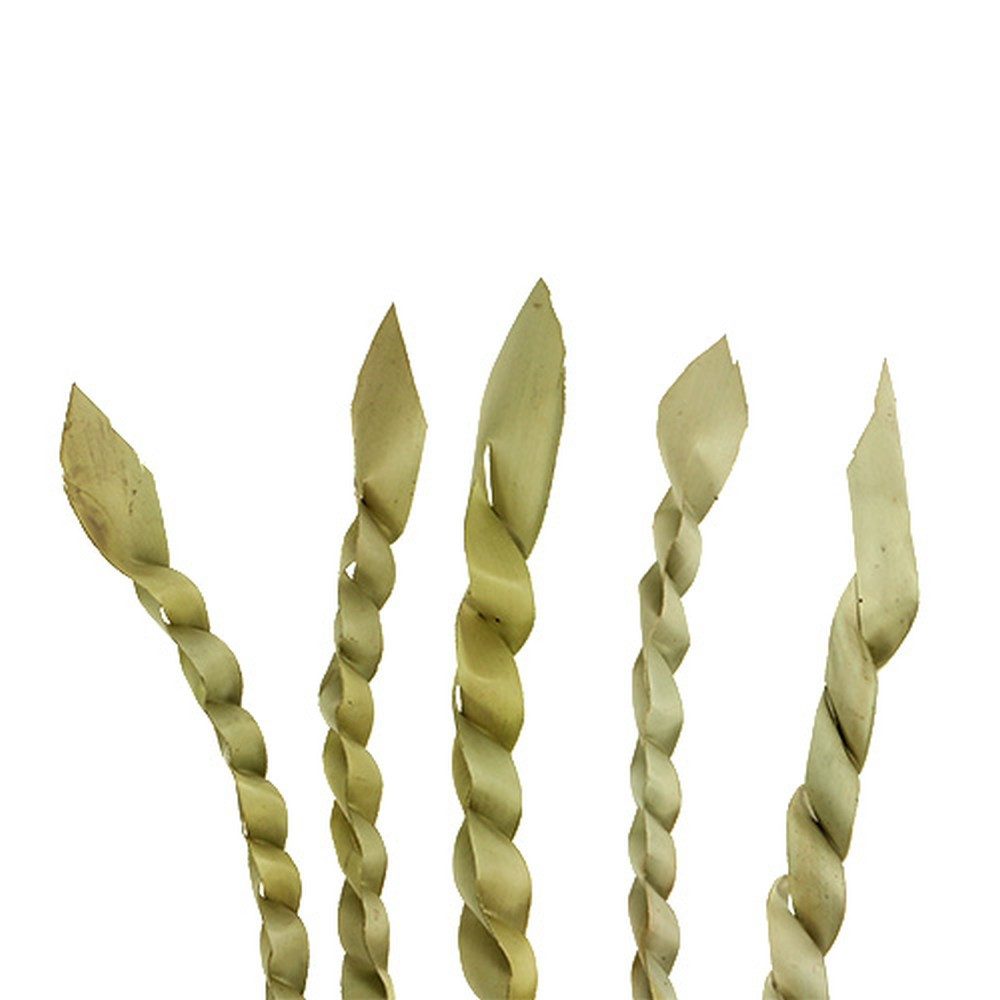 Trockenblume Elegante Dekorative Schilf-Ranke für Trauer und Herbst, 50 Stück, Florists Products, Höhe 1 cm