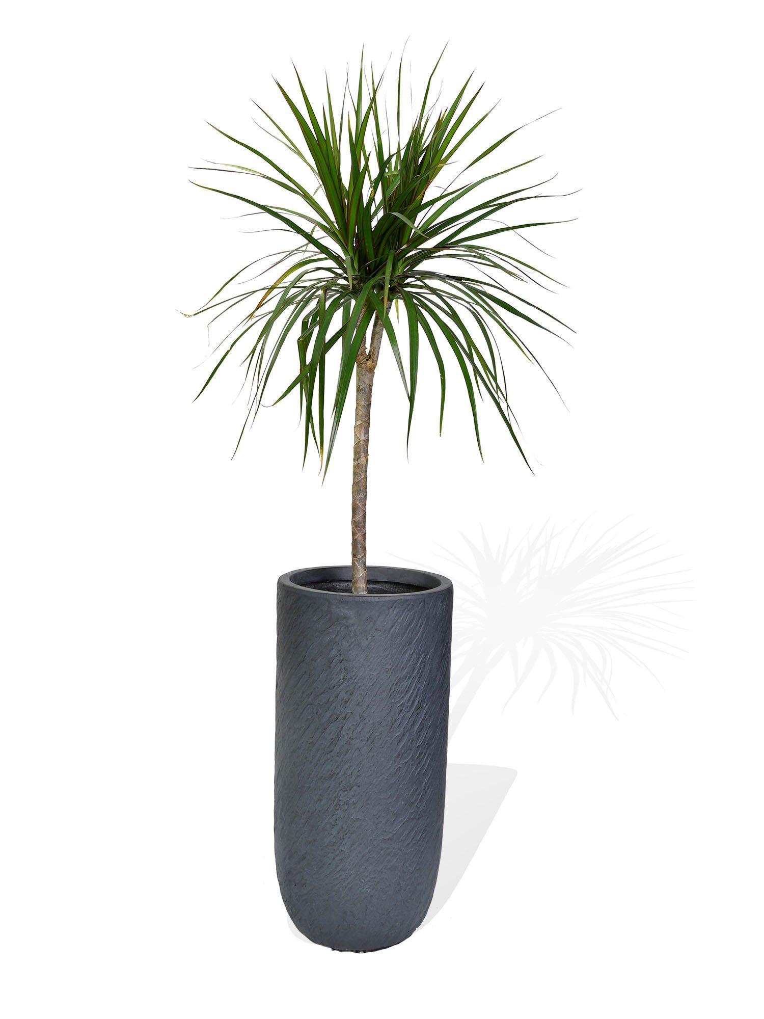 Köhko Pflanzkübel KÖHKO® Blumenkübel aus Fieberglas Pflanzkübel Rund Übertopf