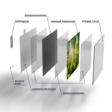 DEQORI Glasbild 'Licht durchdringt Bäume', 'Licht durchdringt Bäume', Glas Wandbild Bild schwebend modern