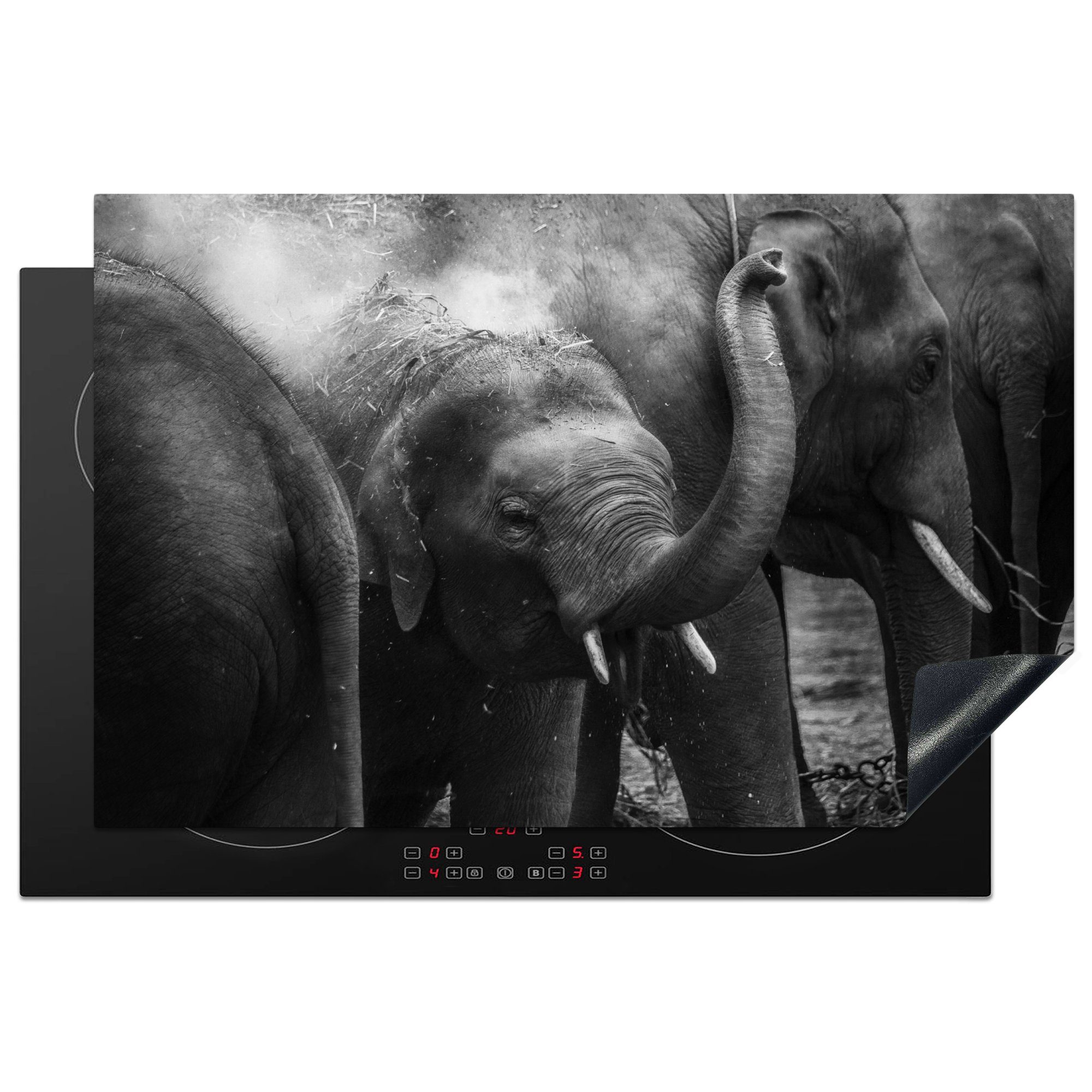 Tiere, - Induktionskochfeld (1 für MuchoWow Herdblende-/Abdeckplatte Indien küche, die - Ceranfeldabdeckung cm, 81x52 tlg), Elefant Vinyl, Schutz