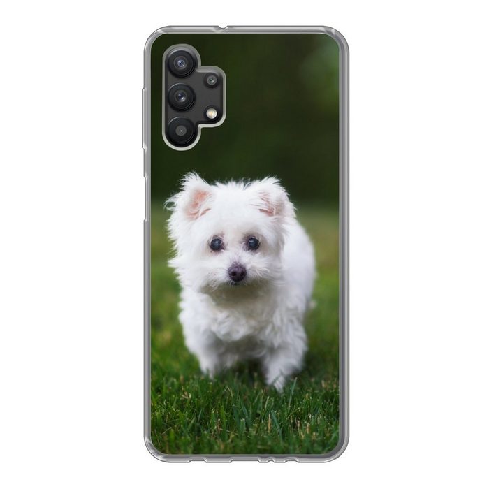 MuchoWow Handyhülle Malteser Hund auf einer Wiese Handyhülle Samsung Galaxy A32 5G Smartphone-Bumper Print Handy UK10092