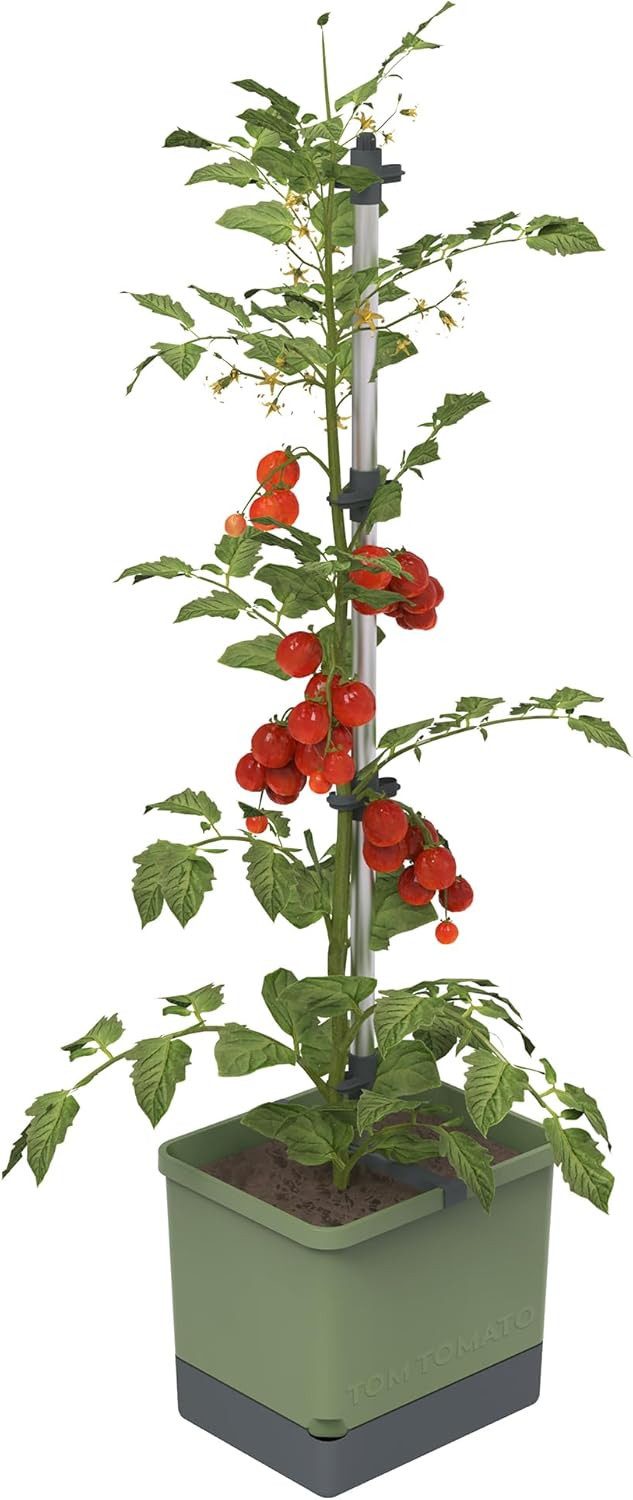 Pflanzkübel TOM TOMATO