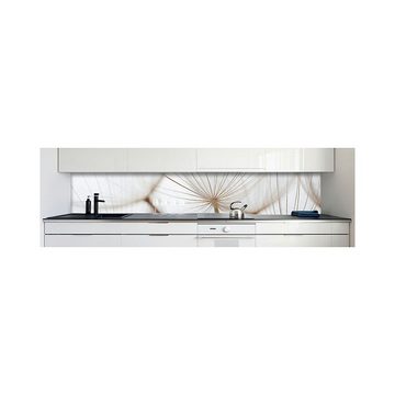 DRUCK-EXPERT Küchenrückwand Küchenrückwand Löwenzahn Braun Hart-PVC 0,4 mm selbstklebend