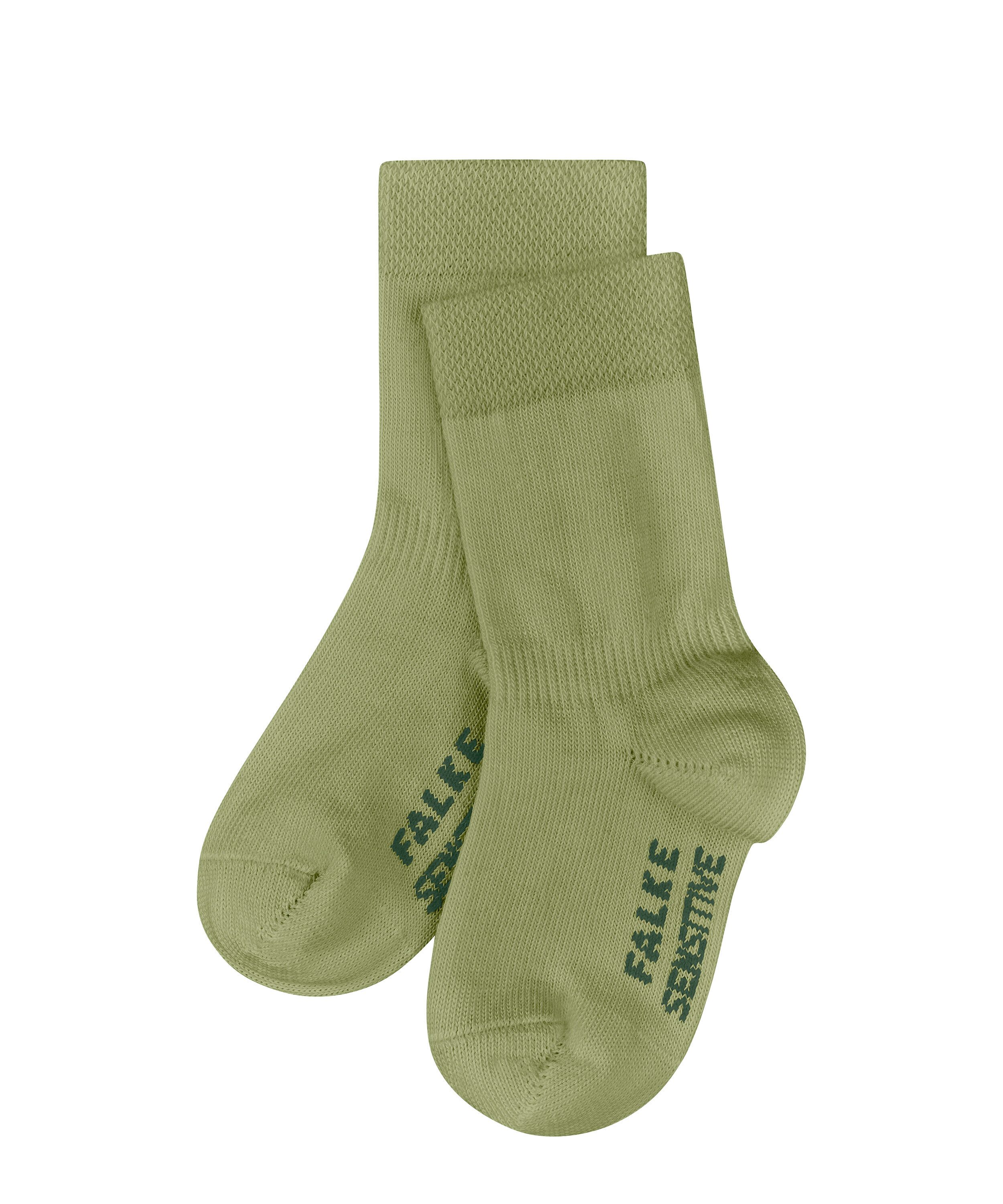 ferngreen (7084)