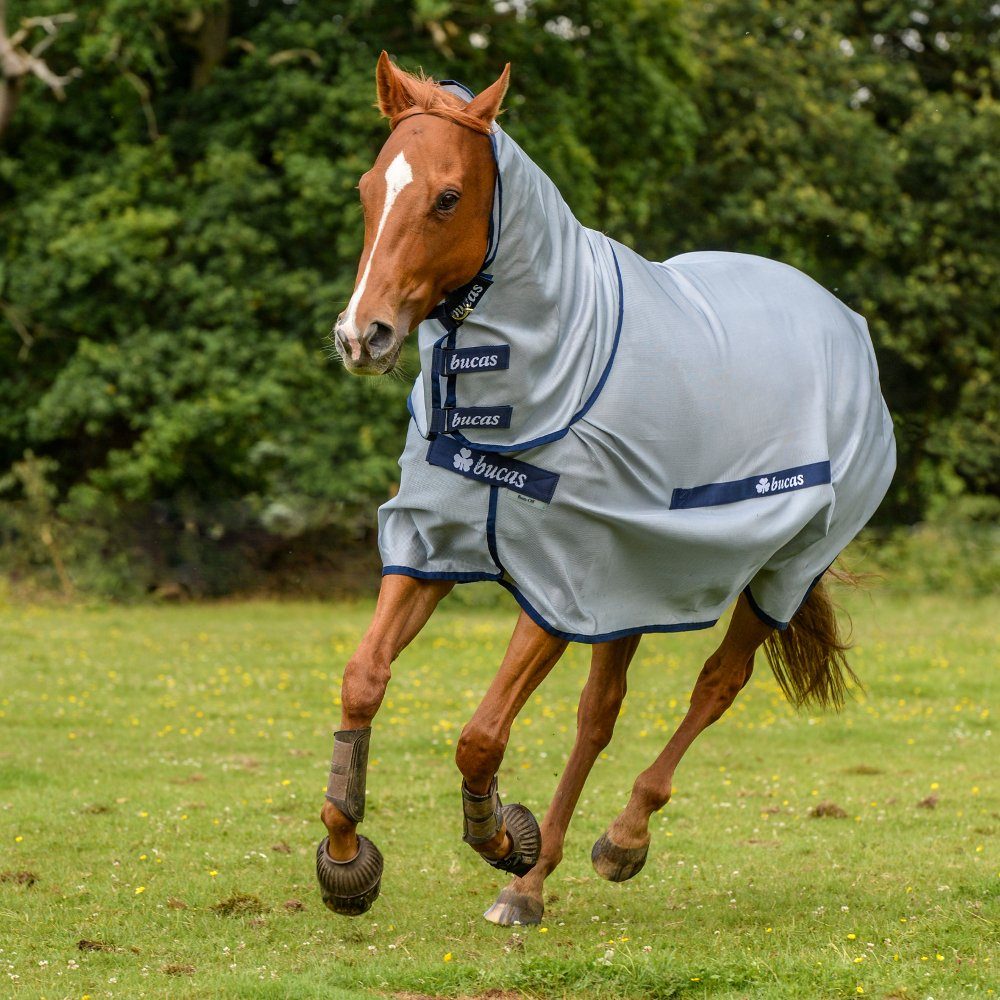 Bucas Pferde-Fliegendecke Bucas Buzz-Off Full Neck - silver/blue