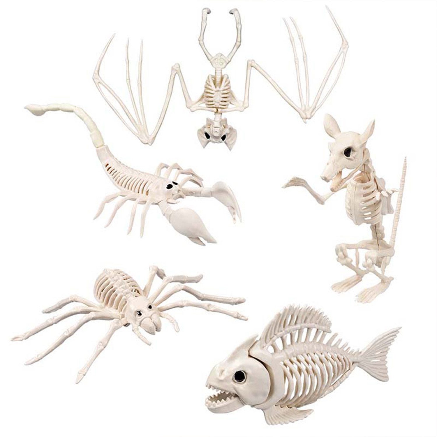 Boland Dekoobjekt Skelett Tiere 5-fach sortiert, Beige - Halloween