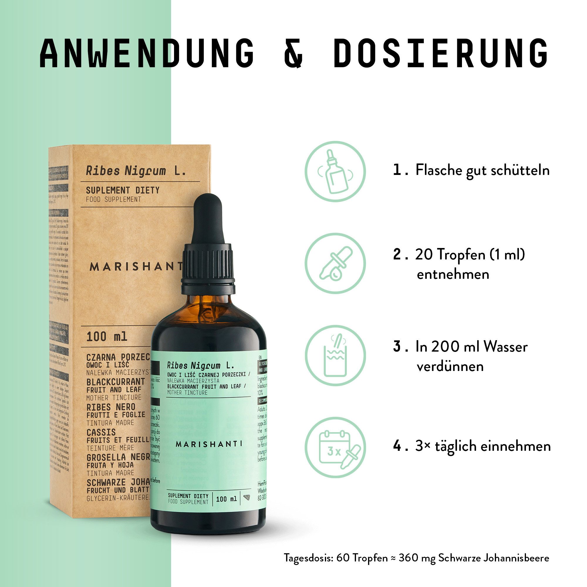 MARISHANTI Schwarze Johannisbeere Extrakt – alkoholfreie Tropfen, pflanzliche Tinktur als Nahrungsergänzungsmittel (Ribes nigrum) à 100 ml, – Vegan