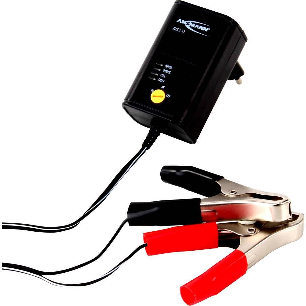 autolock Profi Batterieladegerät, 12 V/8 A 24 V/4 A intelligentes  Autobatterie-Ladegerät (automatisches Batterieladegerät, Wartungsgerät mit  LCD-Display)