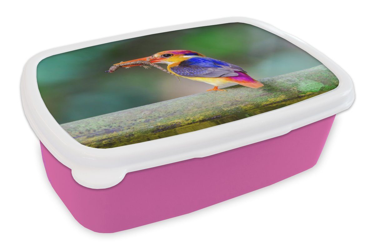 MuchoWow Lunchbox Eisvogel - Salamander - Zweig, Kunststoff, (2-tlg), Brotbox für Erwachsene, Brotdose Kinder, Snackbox, Mädchen, Kunststoff rosa