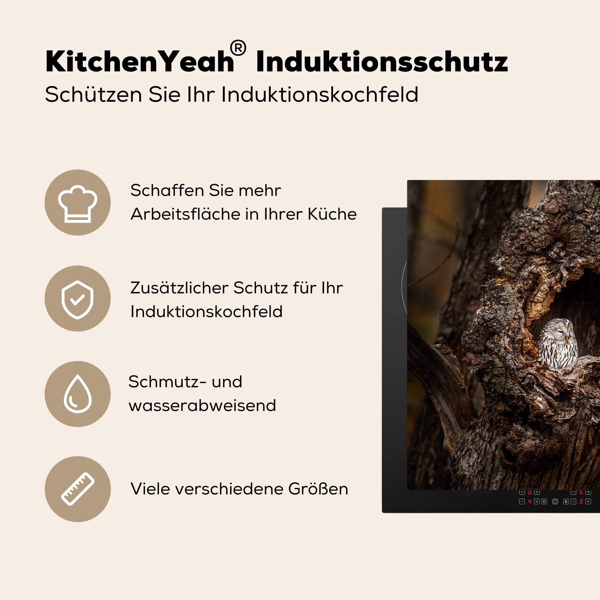 im die Baum, Induktionskochfeld Eule Schutz 81x52 MuchoWow Herdblende-/Abdeckplatte cm, Vinyl, Eichhörnchen und Nahaufnahme (1 küche, tlg), für Ceranfeldabdeckung