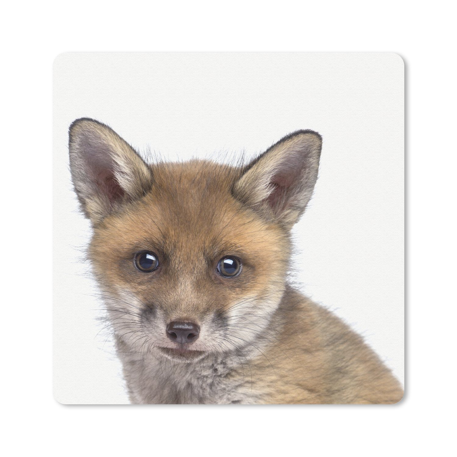 MuchoWow Mauspad Fuchs - Tiere - Jungtier - Jungen - Mädchen - Kind (1-St), Mousepad, Schreibtisch Zubehör, Deko, 20x20 cm