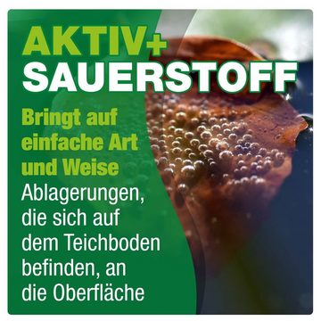 AQUALITY Gartenpflege-Set Teichreiniger & Teichschlammentferner, Nachhaltig