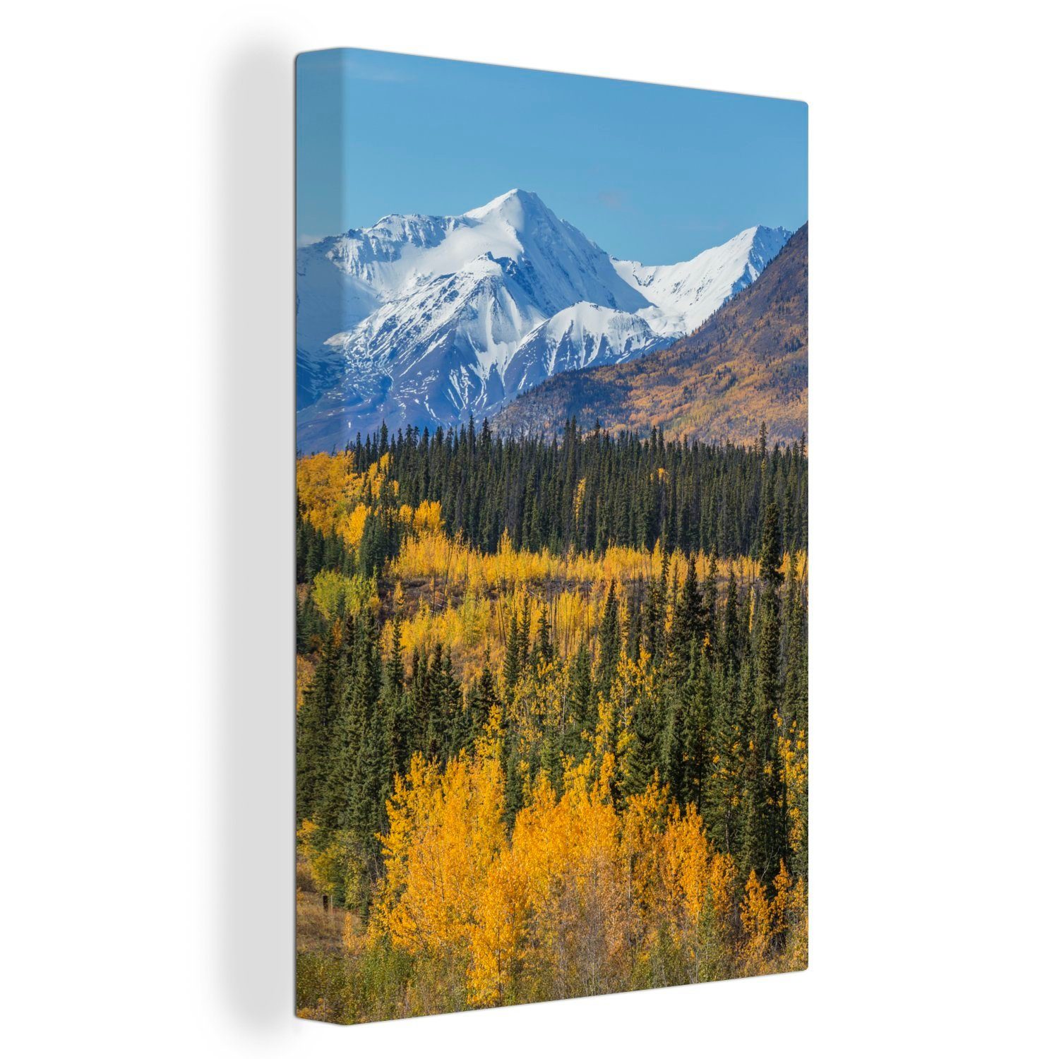 OneMillionCanvasses® Leinwandbild Wald im Kluane-Nationalpark in Yukon, (1 St), Leinwandbild fertig bespannt inkl. Zackenaufhänger, Gemälde, 20x30 cm