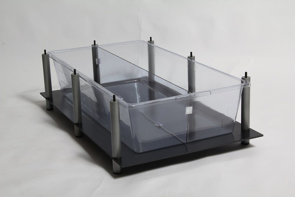 Terrarium Trennwand für M&S Rack Wanne ADULT