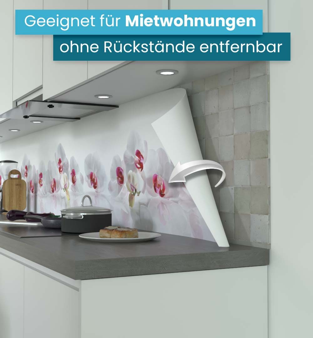 MyMaxxi Küchenrückwand Küchenrückwand selbstklebend Orchidee Weiß Spritzschutz Folie, (Klebefolie passend geschnitten und gerollt B 340 cm x H 60 cm), Orchidee  – Bild 3 von 5