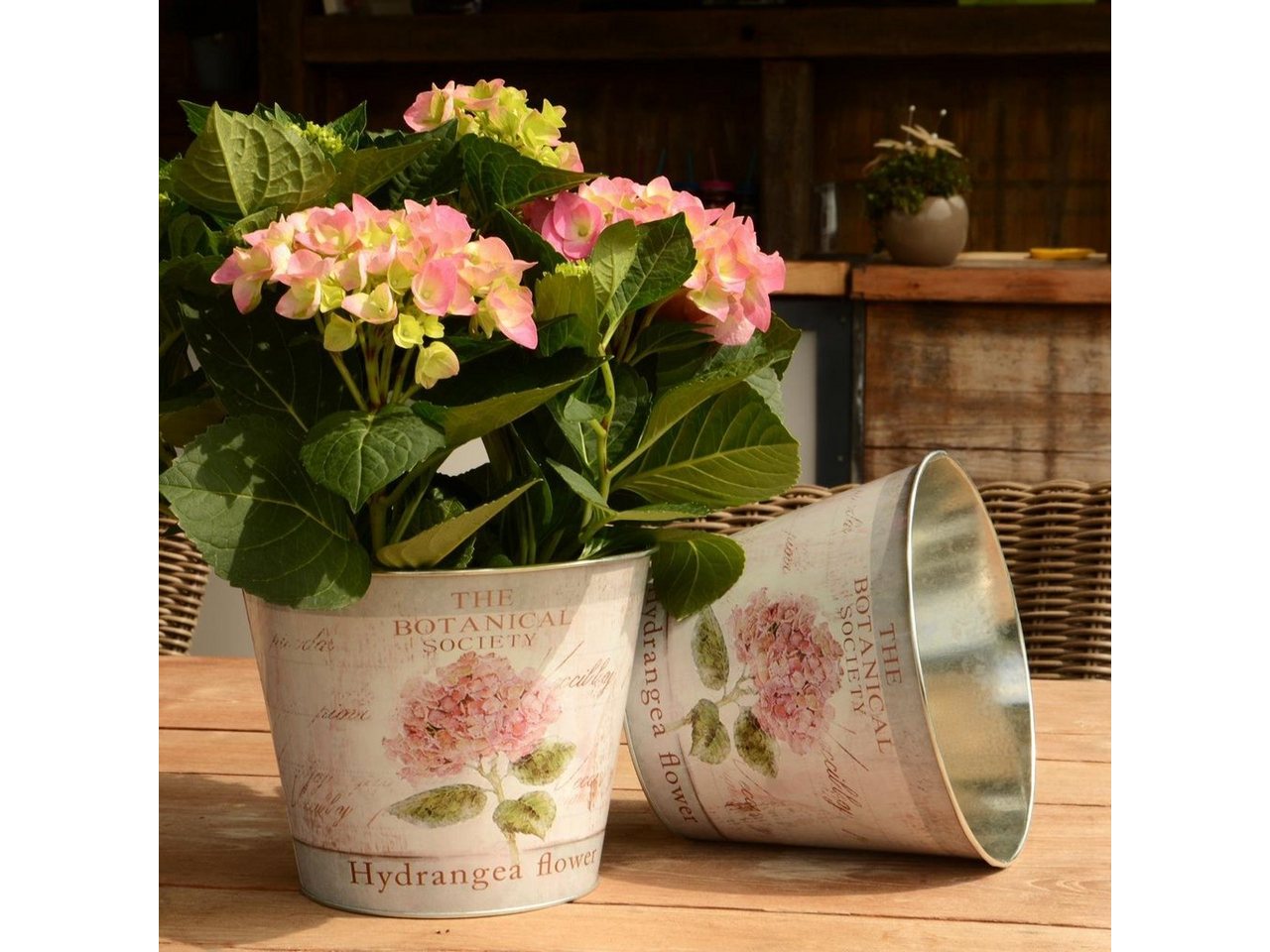 Thumbnail - UNUS GARDEN Blumentopf Topf Zink rund Hortensie 2er Set