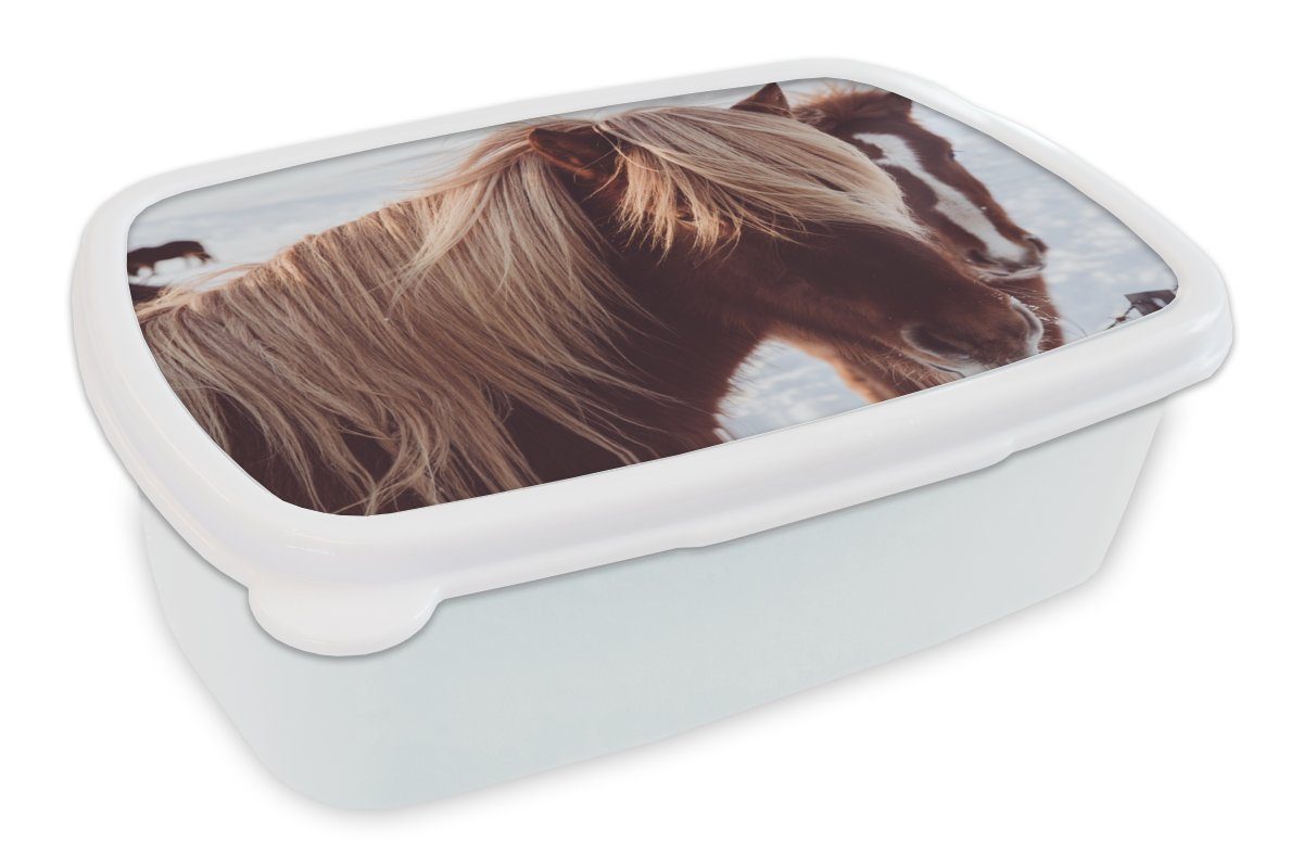 MuchoWow Lunchbox Pferde - Schnee - Braun, Kunststoff, (2-tlg), Brotbox für Kinder und Erwachsene, Brotdose, für Jungs und Mädchen weiß