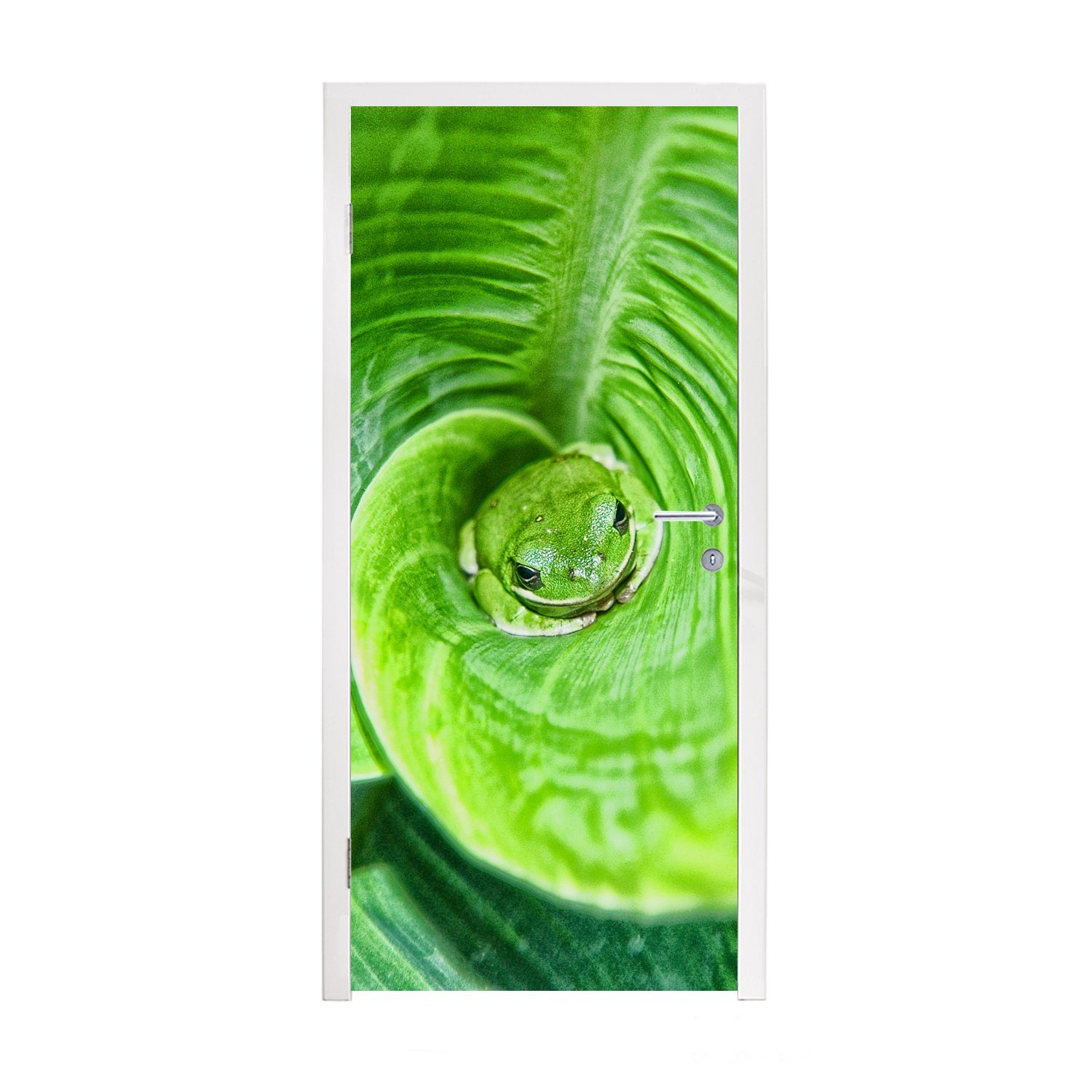 MuchoWow Türtapete Versteckter Laubfrosch in einer Canna-Pflanze, Matt, bedruckt, (1 St), Fototapete für Tür, Türaufkleber, 75x205 cm