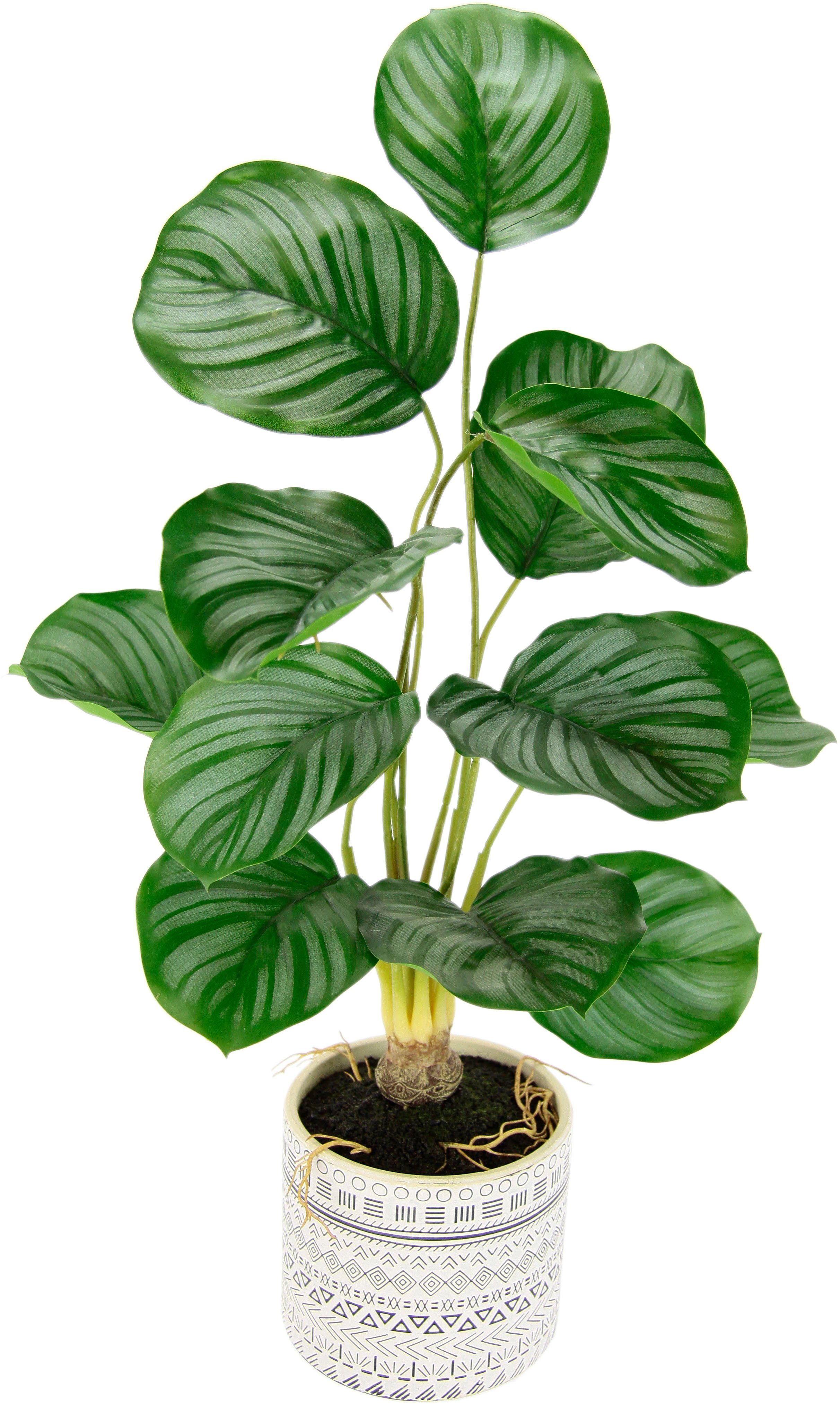 Kunstpflanze Lennja Korbmarante, andas, Höhe 58 cm, im Topf aus Keramik | Kunstpflanzen