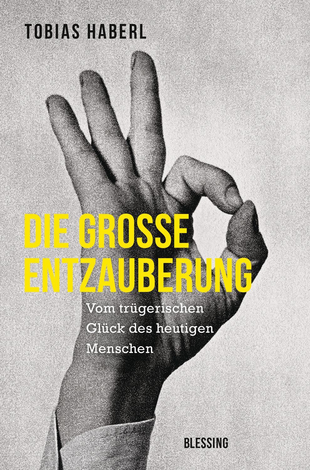 Die große Entzauberung Vom trügerischen Glück des heutigen Menschen / Tobias Haberl