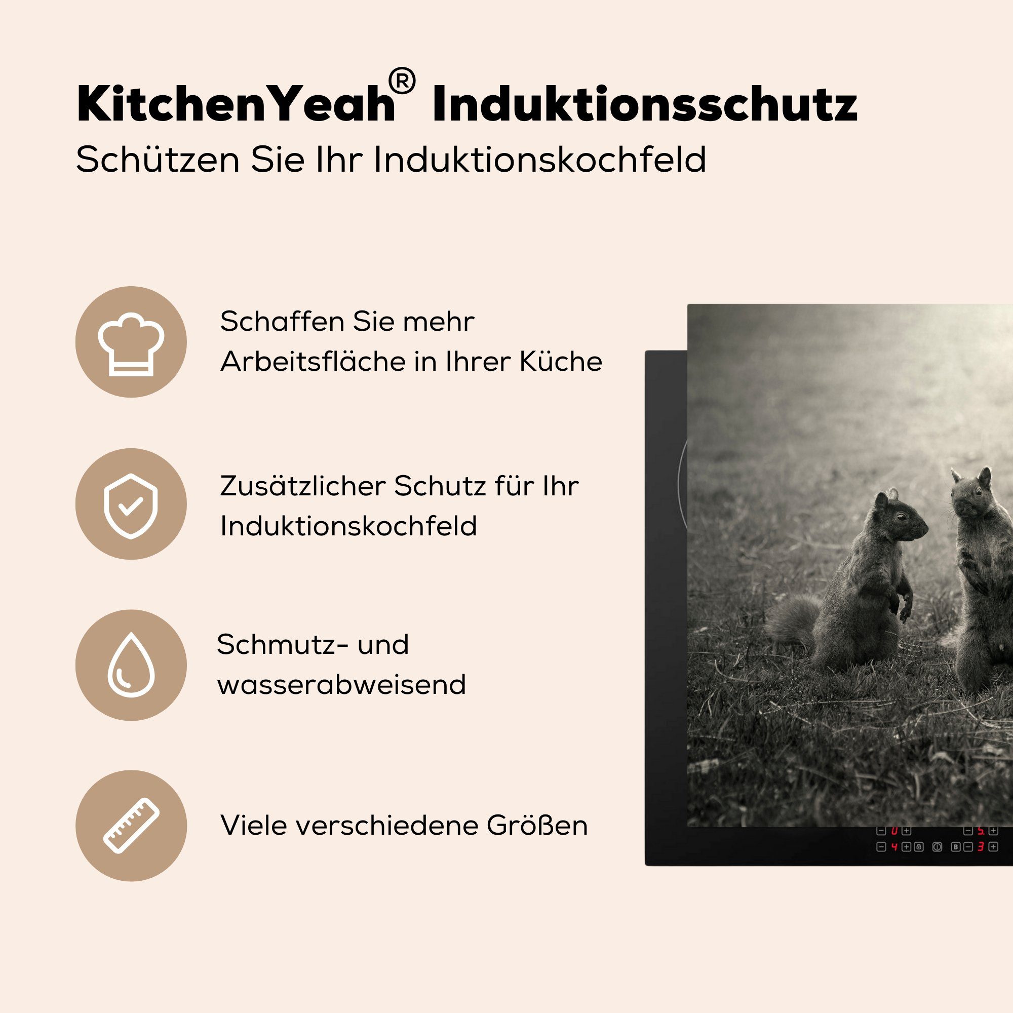 Ceranfeldabdeckung, 78x78 Eichhörnchen Gras, im Zwei Vinyl, für (1 cm, MuchoWow küche tlg), Herdblende-/Abdeckplatte Arbeitsplatte
